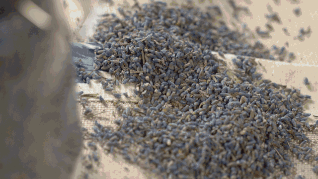 中國茶道禪茶館，茶乃人生樂事