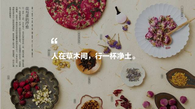 中國茶道禪茶館，茶乃人生樂事