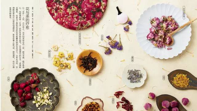 中國茶道禪茶館，茶乃人生樂事