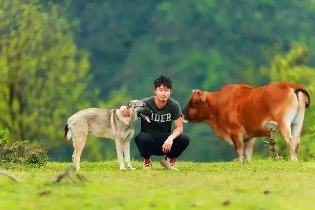 若丁山七號(hào)營(yíng)地，無數(shù)人向往的“星空露營(yíng)地”