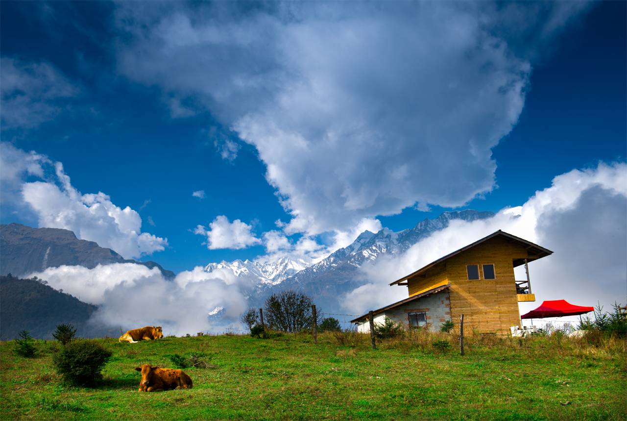 若丁山七號營地，無數(shù)人向往的“星空露營地”