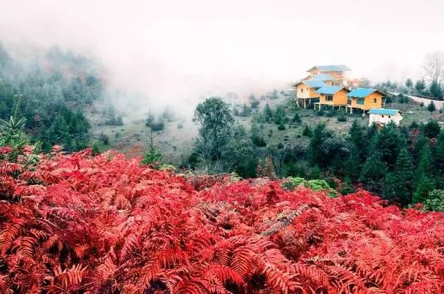 若丁山七號(hào)營(yíng)地，無數(shù)人向往的“星空露營(yíng)地”