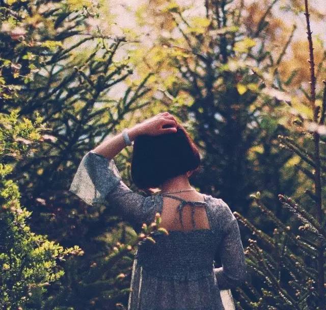 若丁山七號營地，無數(shù)人向往的“星空露營地”