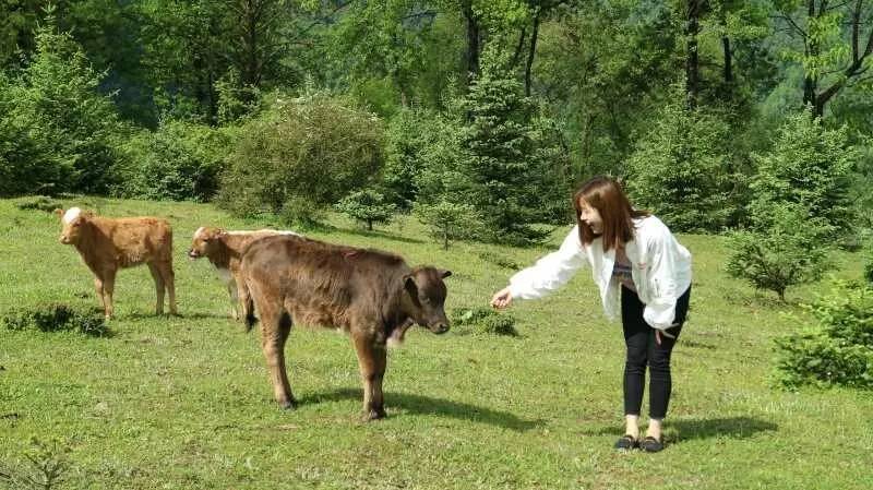 若丁山七號(hào)營地，無數(shù)人向往的“星空露營地”