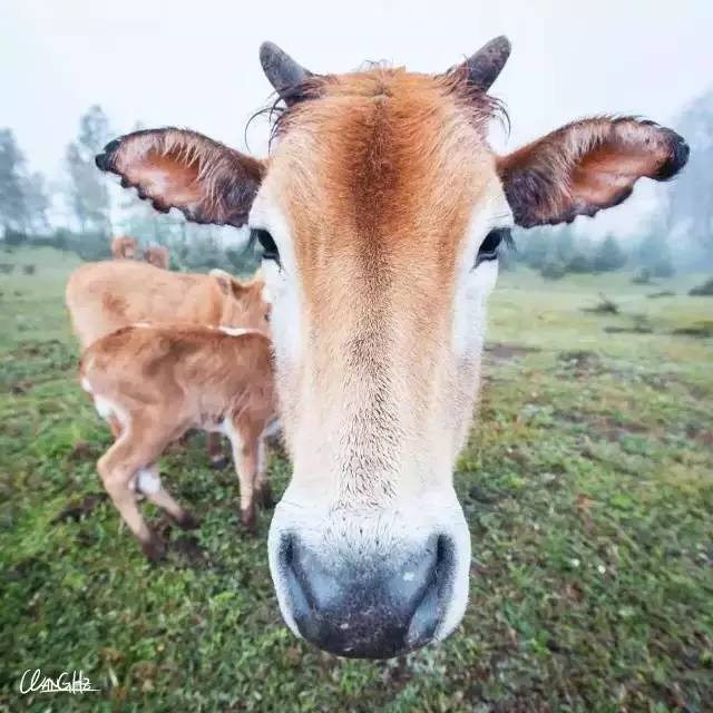 若丁山七號(hào)營地，無數(shù)人向往的“星空露營地”