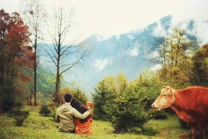 若丁山七號(hào)營地，無數(shù)人向往的“星空露營地”