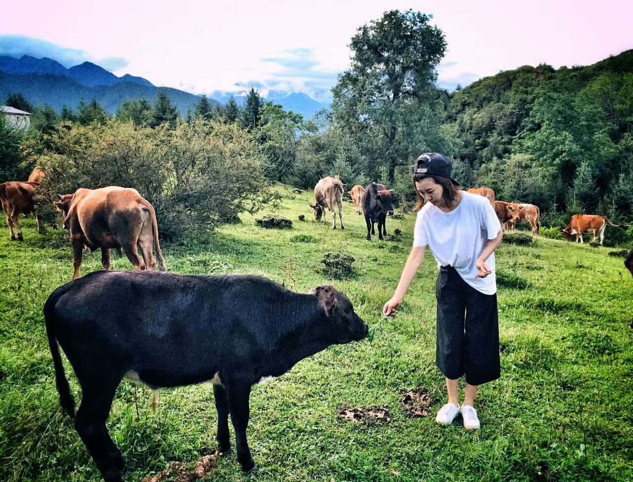 若丁山七號(hào)營地，無數(shù)人向往的“星空露營地”