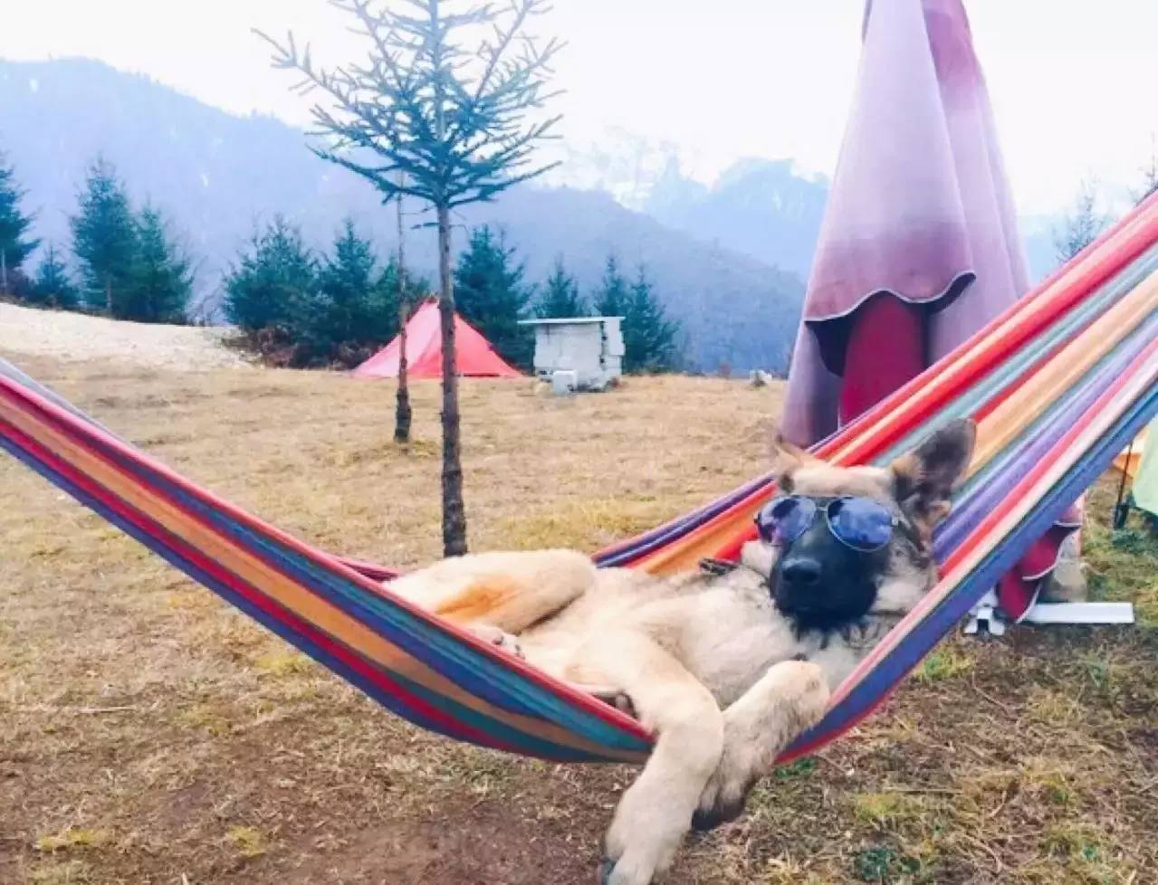 若丁山七號營地，無數(shù)人向往的“星空露營地”