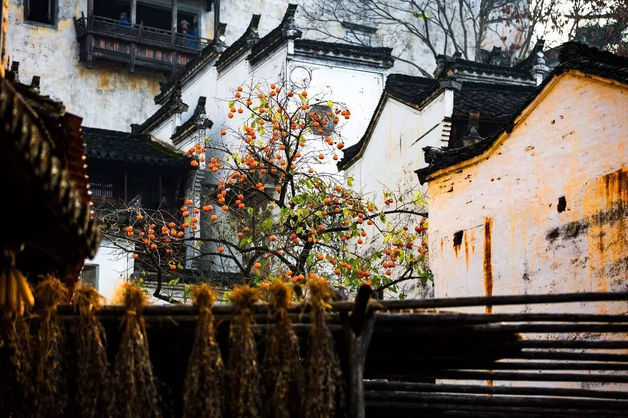 墅家墨娑西沖院，活了的老宅訴說舊日的時光