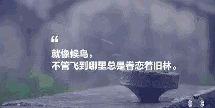 墅家墨娑西沖院，活了的老宅訴說舊日的時光