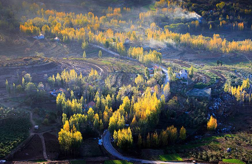 沂蒙山舍，呼吸大自然“臥聽(tīng)松嘯 伴山而眠”