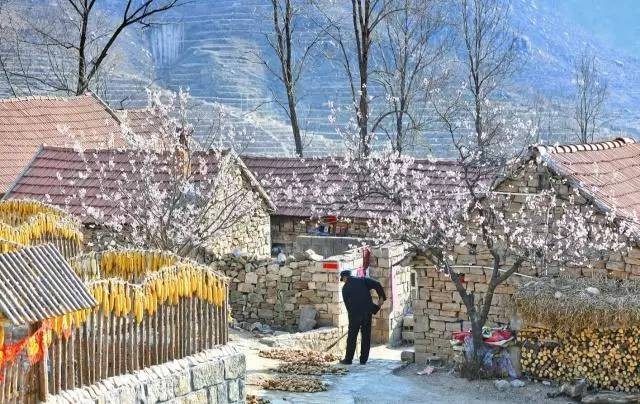 沂蒙山舍，呼吸大自然“臥聽(tīng)松嘯 伴山而眠”