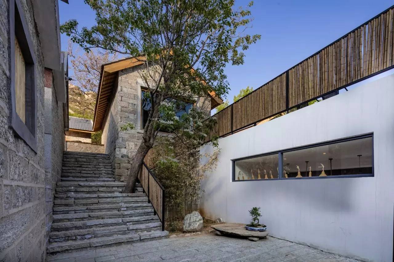 沂蒙山舍，呼吸大自然“臥聽松嘯 伴山而眠”