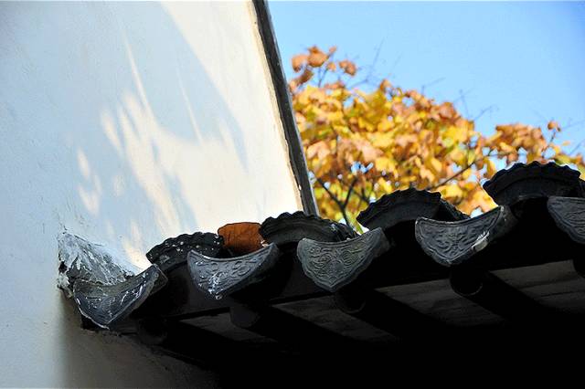 中國(guó)人在秋天的九種情調(diào)，唯美古風(fēng)句子