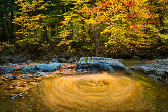中國(guó)人在秋天的九種情調(diào)，唯美古風(fēng)句子