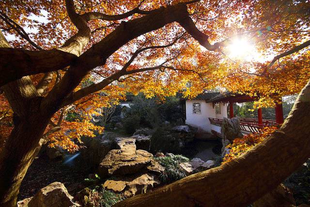 中國(guó)人在秋天的九種情調(diào)，唯美古風(fēng)句子