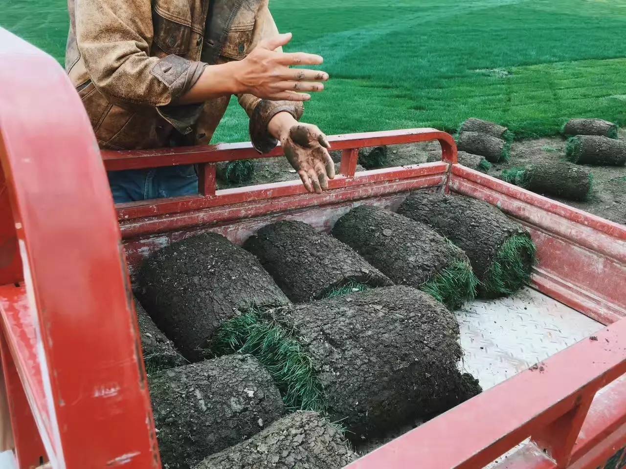 大理吾居，吾之居所無(wú)拘無(wú)束