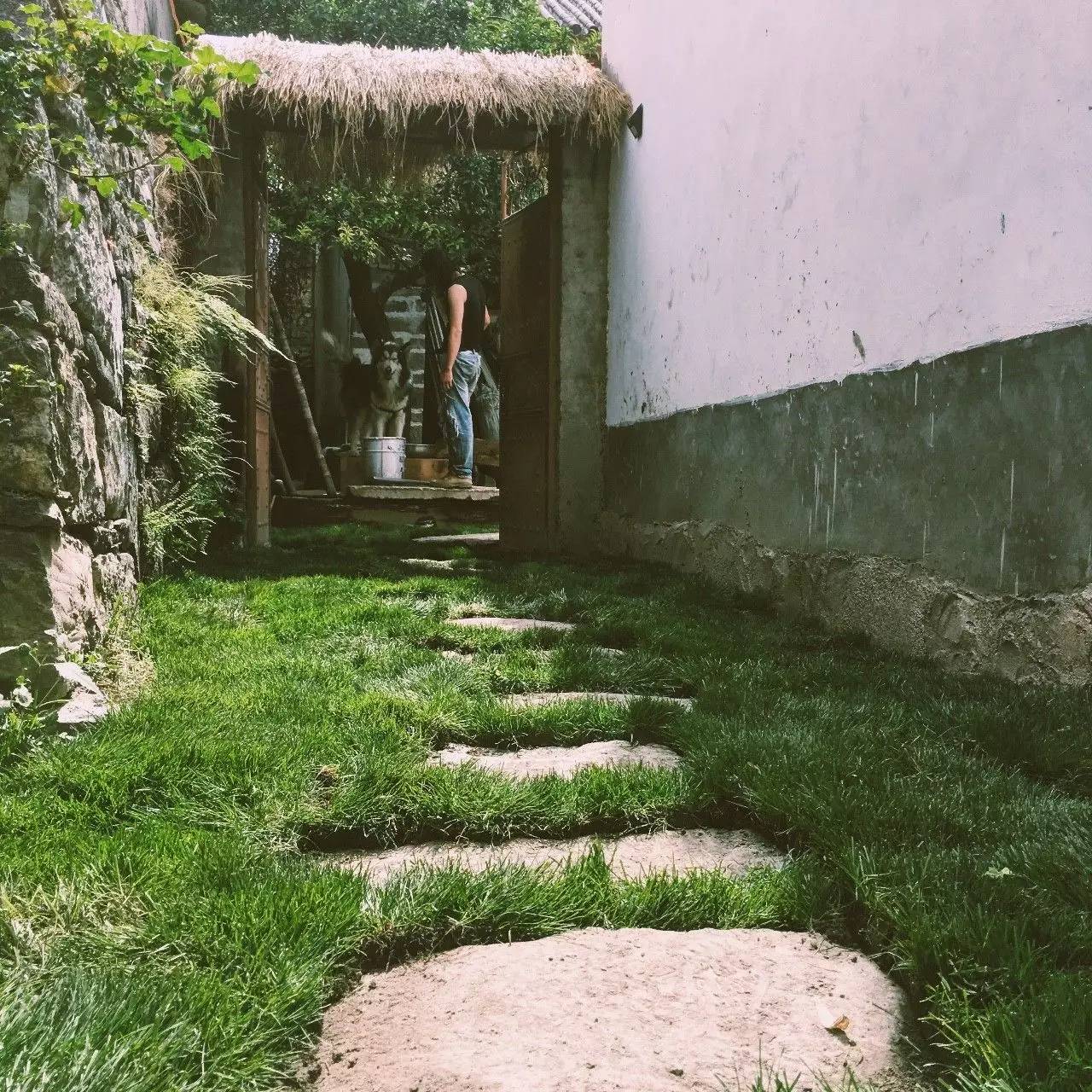 大理吾居，吾之居所無拘無束