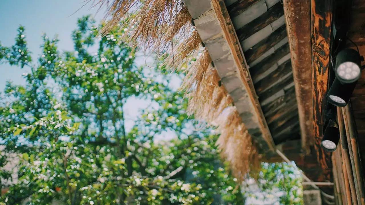 大理吾居，吾之居所無(wú)拘無(wú)束