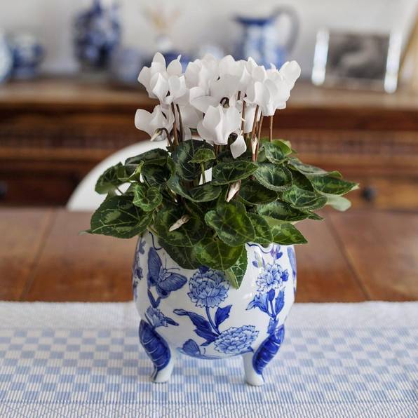 青花瓷，最美是青花!