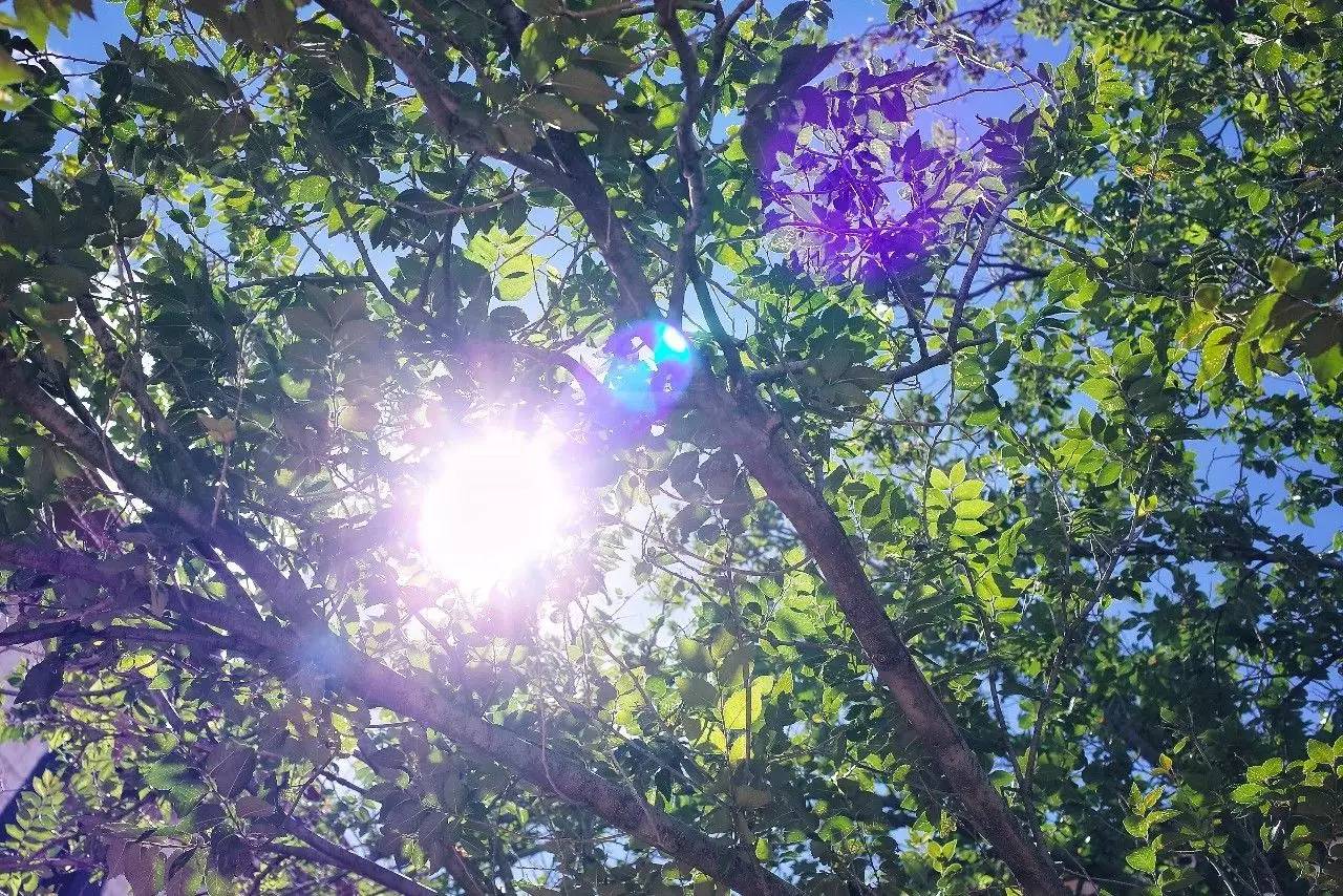 拉薩香格里拉酒店，睡在世界屋脊之上