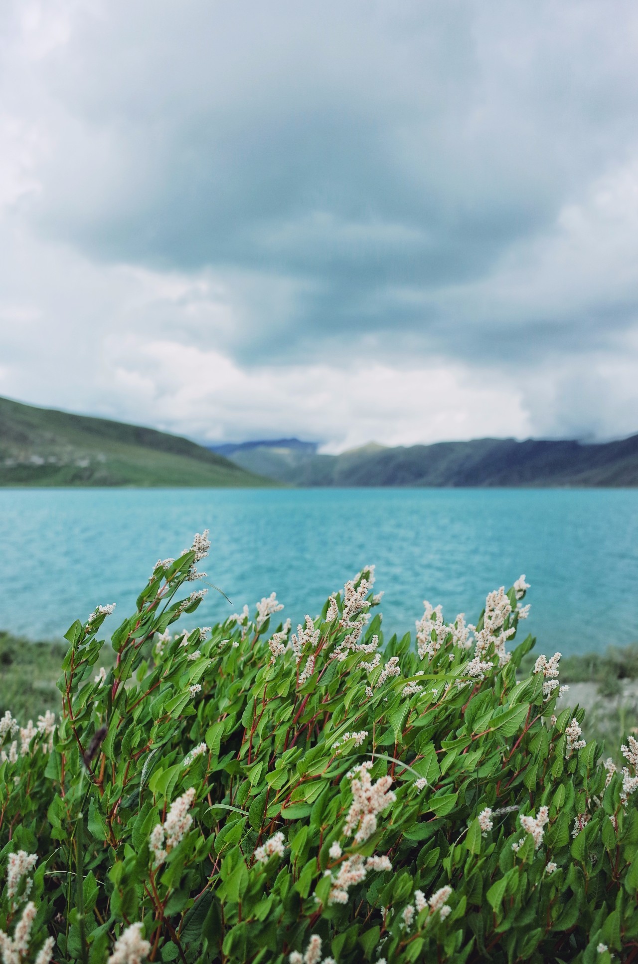 拉薩香格里拉酒店，睡在世界屋脊之上