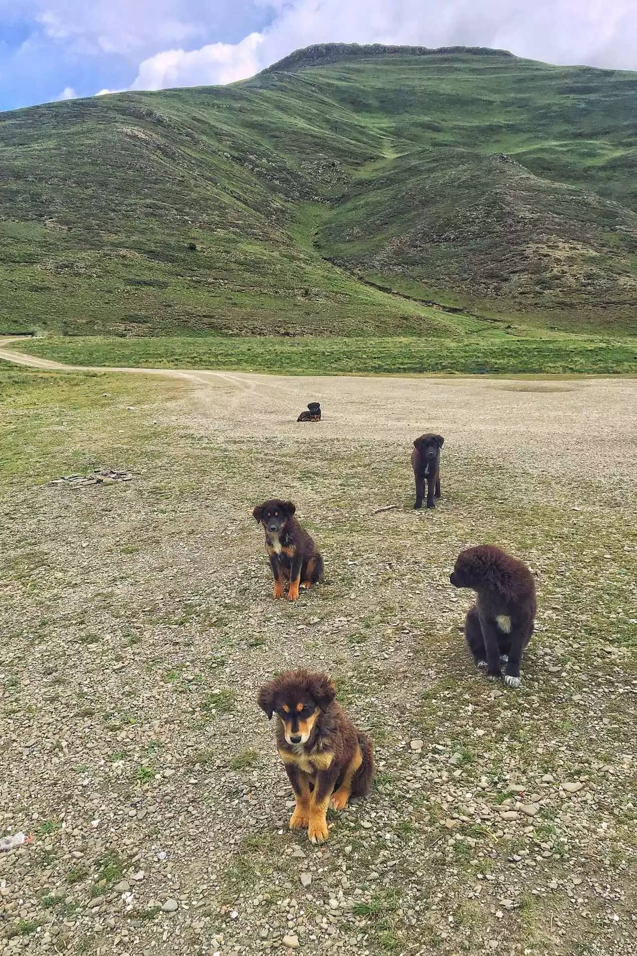 拉薩香格里拉酒店，睡在世界屋脊之上