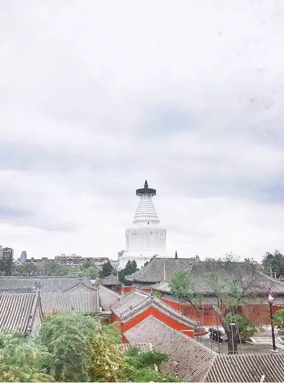 種類繁多的中國佛塔，佛教文化博大精深