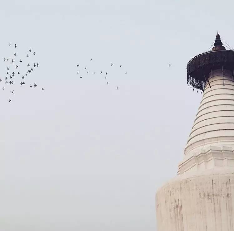 種類繁多的中國佛塔，佛教文化博大精深