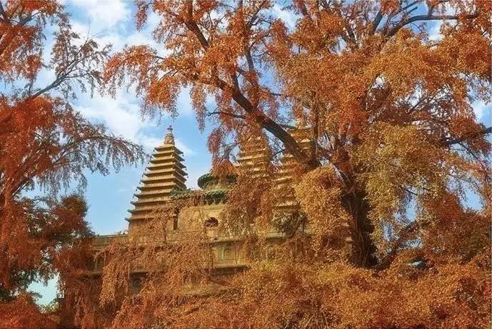 種類繁多的中國(guó)佛塔，佛教文化博大精深