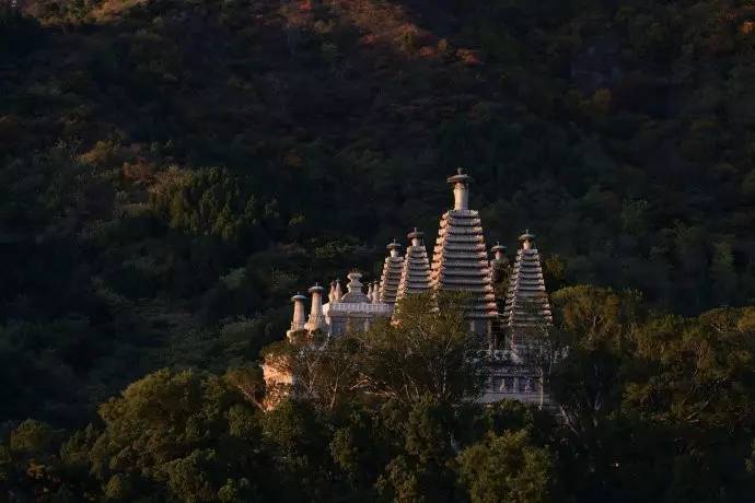 種類繁多的中國(guó)佛塔，佛教文化博大精深