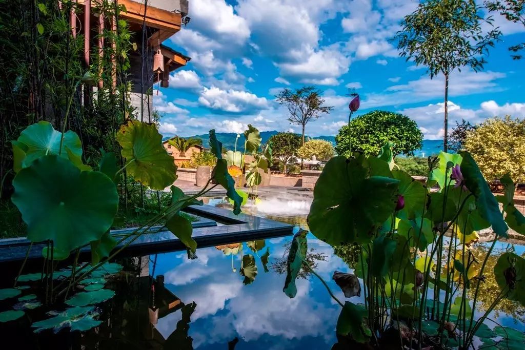 茶隱山房，以茶會友隱逸塵世