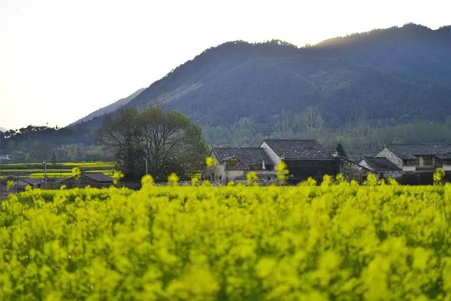 關(guān)麓小筑，修繕一棟百年老宅