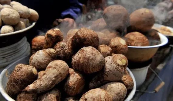 棲霞山居，溪流環(huán)繞在古村落捕魚看霞光