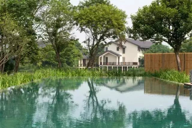 西溪濕地三款最美避世酒店，果然一派驚艷