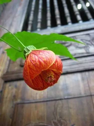 陽朔明清老宅院，留一份純真質(zhì)樸回歸本真