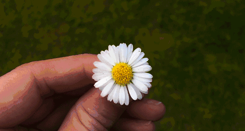 22款與秋相關(guān)的唯美句子，唯美古風(fēng)句子