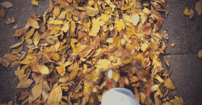 22款與秋相關(guān)的唯美句子，唯美古風(fēng)句子