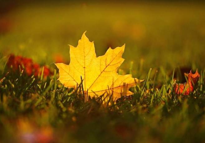 22款與秋相關(guān)的唯美句子，唯美古風(fēng)句子