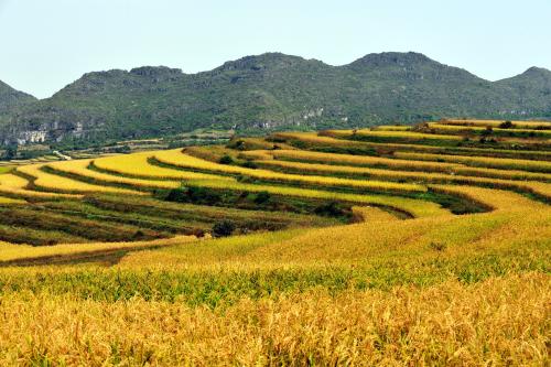 22款與秋相關(guān)的唯美句子，唯美古風(fēng)句子