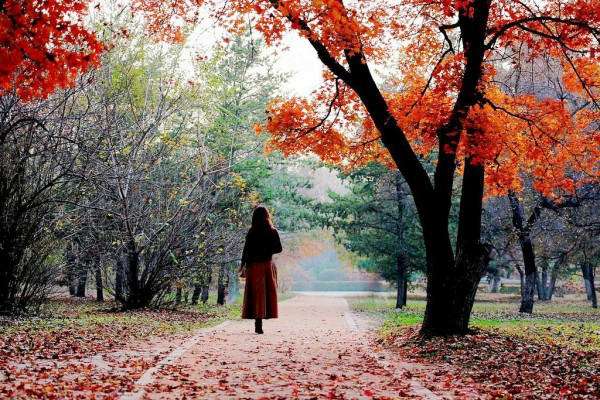 22款與秋相關(guān)的唯美句子，唯美古風(fēng)句子