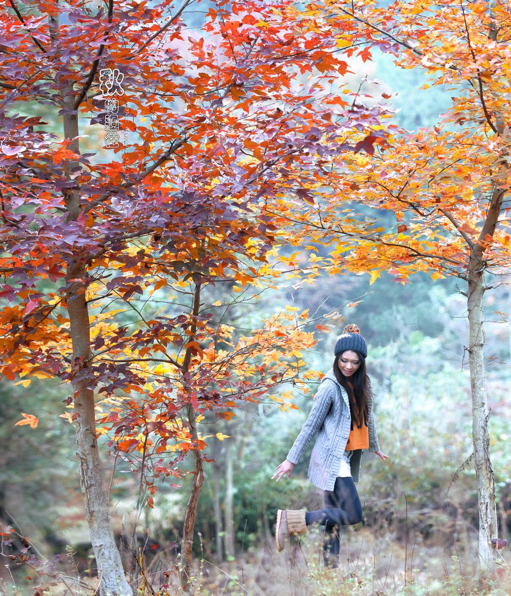 22款與秋相關(guān)的唯美句子，唯美古風(fēng)句子