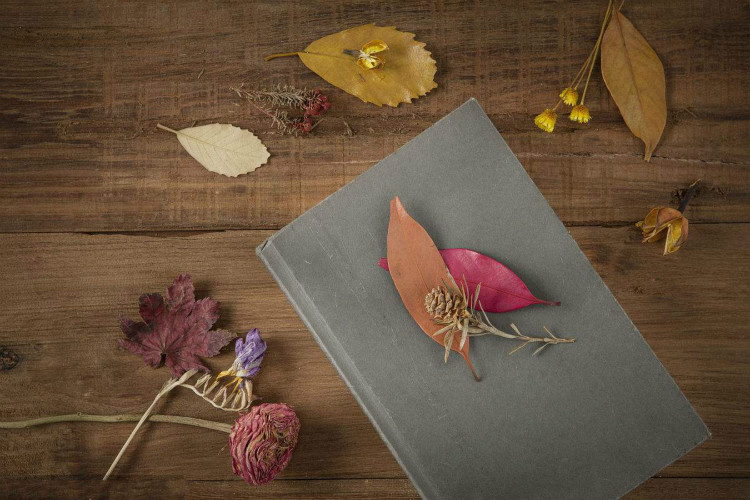 22款與秋相關(guān)的唯美句子，唯美古風(fēng)句子