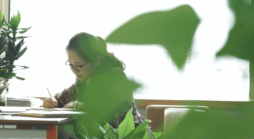 北京懷柔白鳥集，飛翔的白鳥我在等你乘風(fēng)歸來