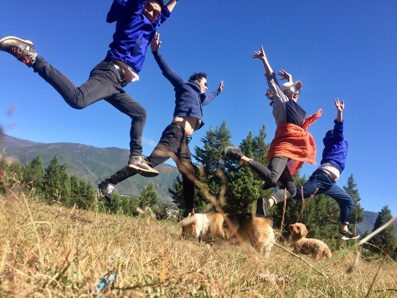 麗江束河聚寶齋民宿，告別曾經(jīng)邂逅未來(lái)的美麗