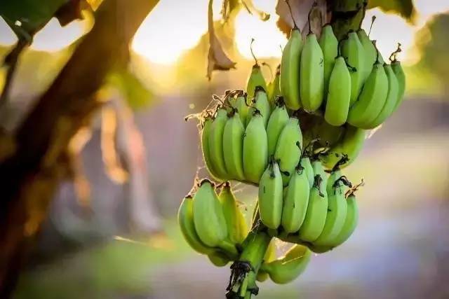 Airbnb上民宿，遇見你日子原來(lái)這么美妙