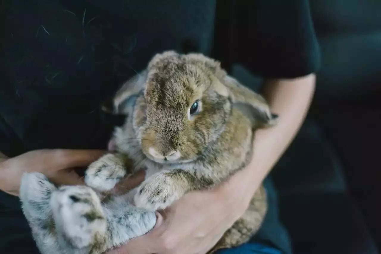 Airbnb上民宿，遇見你日子原來(lái)這么美妙