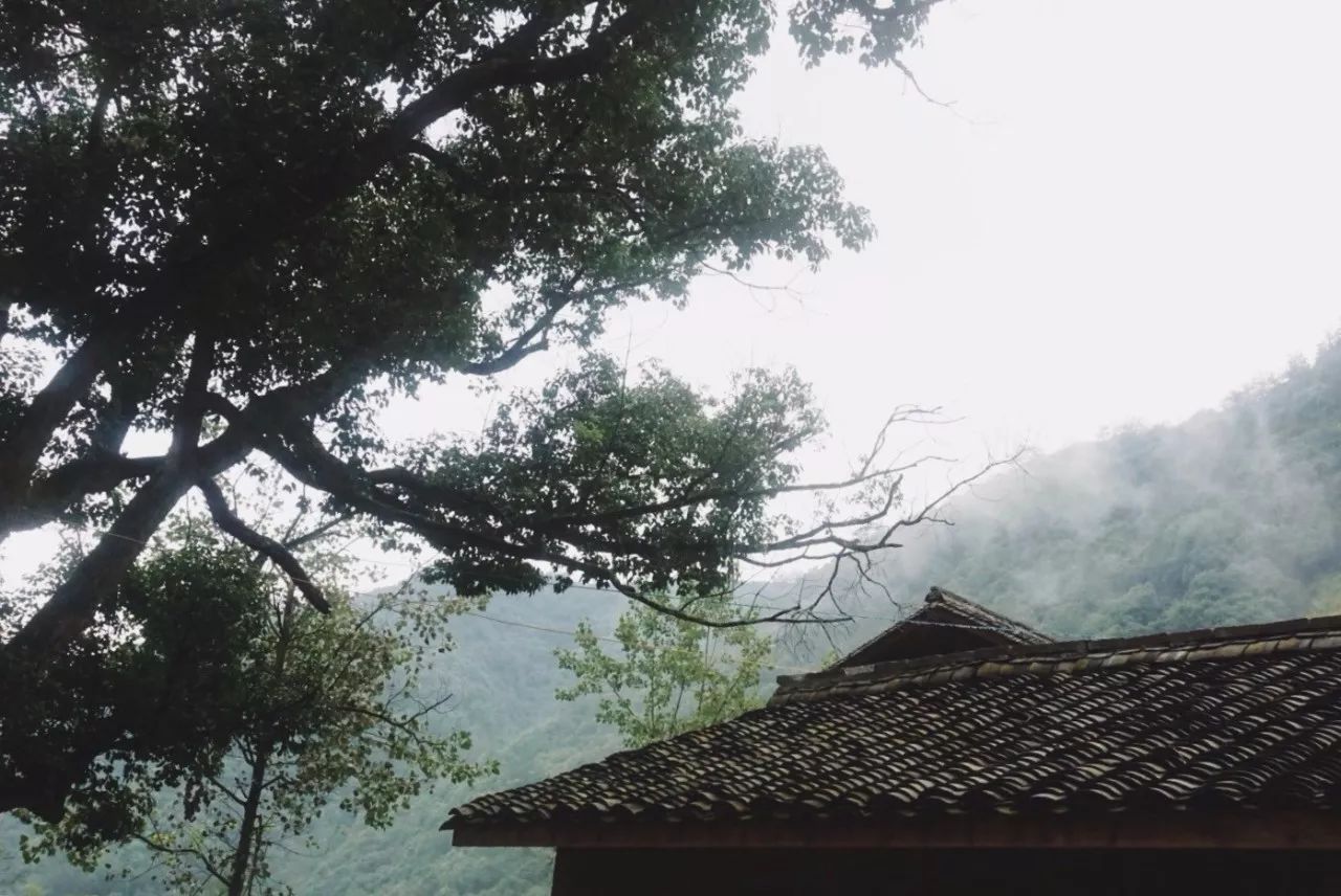 杭州·天方夜潭，給你一個「山脊之巔」的舞臺