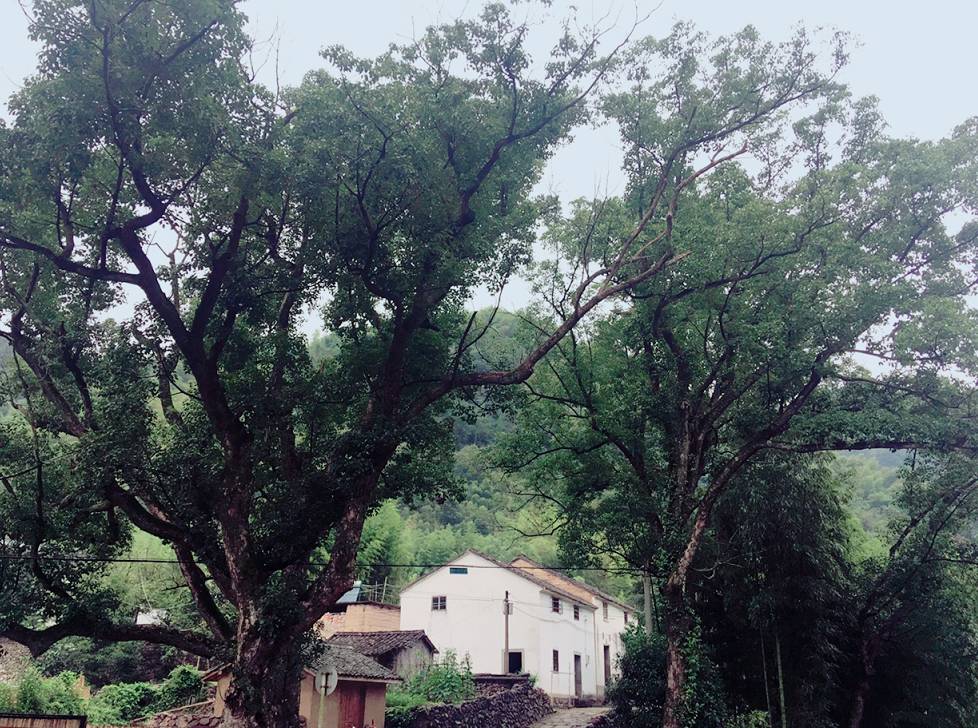 杭州·天方夜潭，給你一個「山脊之巔」的舞臺