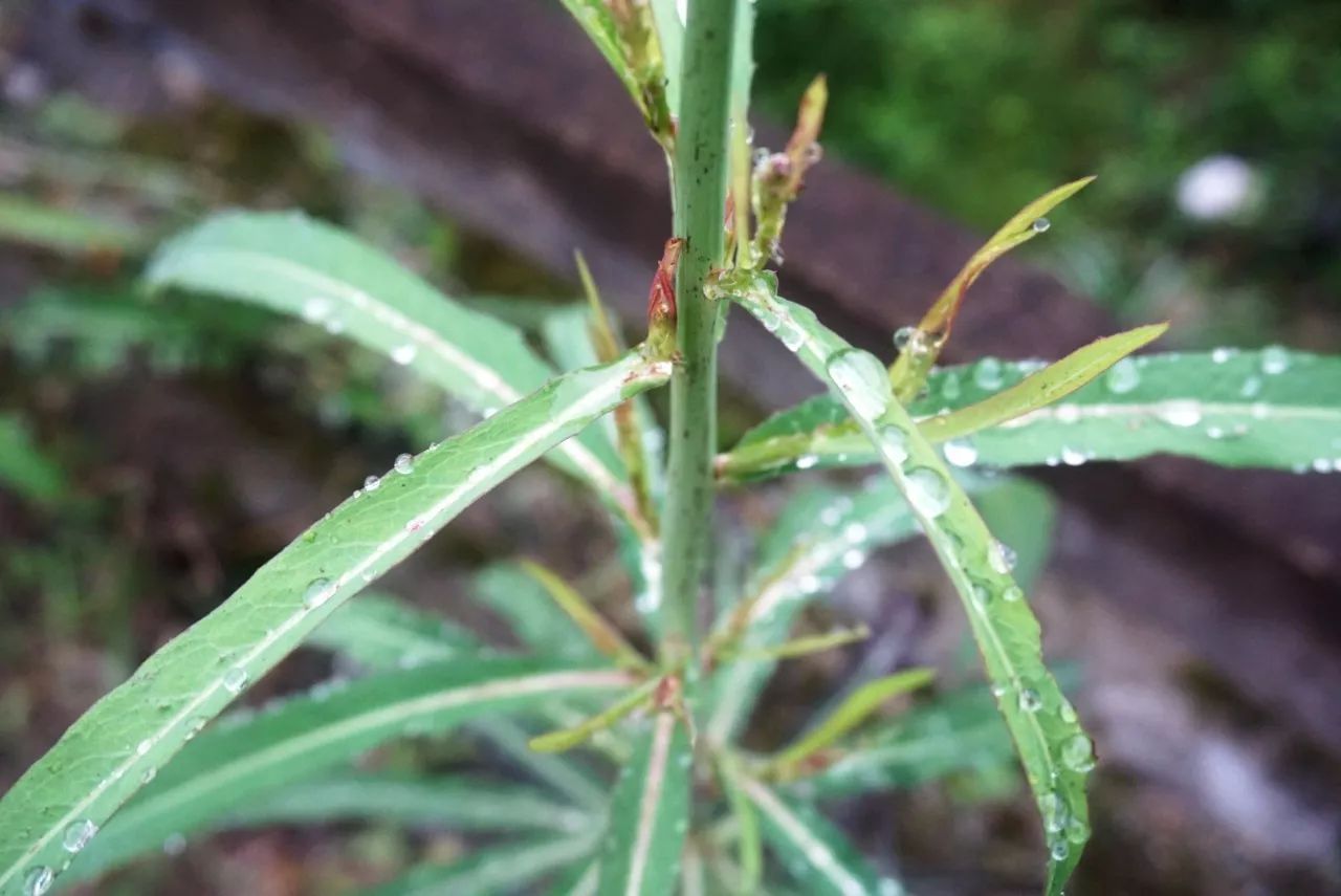 杭州·天方夜潭，給你一個「山脊之巔」的舞臺